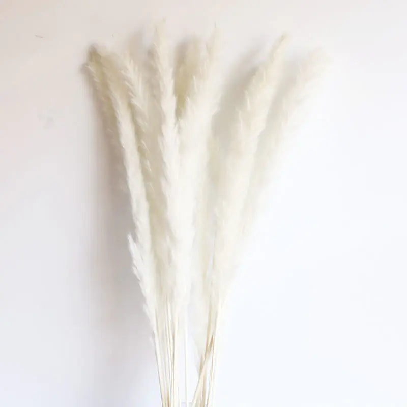 Eco-friendly pampas bouquet close-up White - Living Abroad Creations