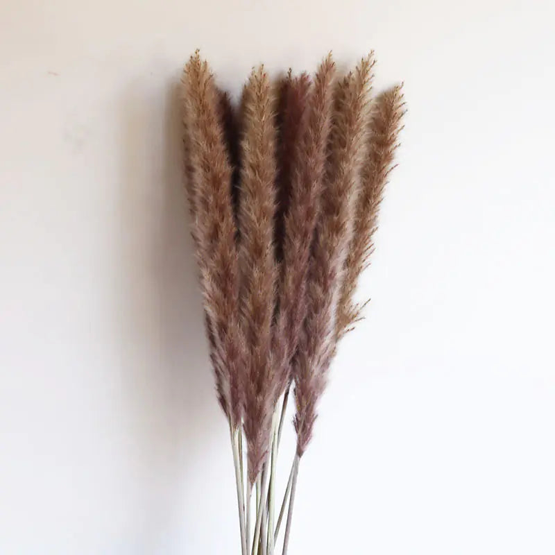 Pampas bunch with wrapping and tag - Living Abroad Creations