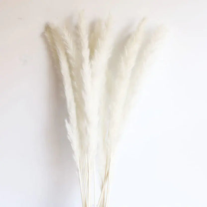 Eco-friendly pampas bouquet close-up White - Living Abroad Creations