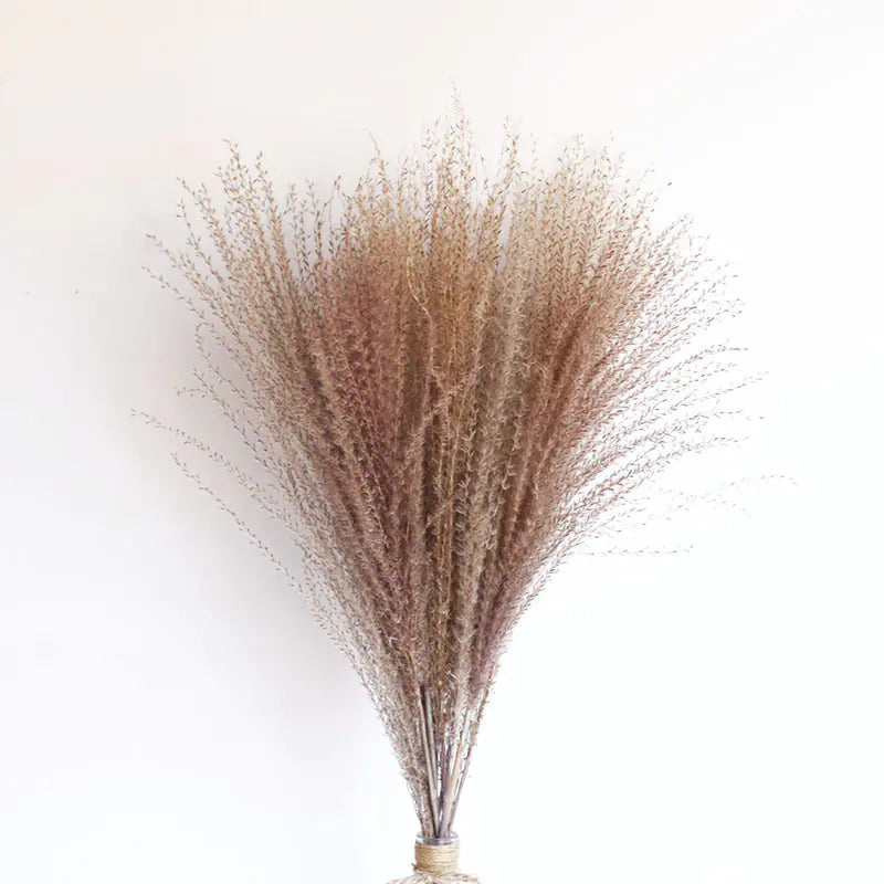 Neutral color palette of pampas grass stems - Living Abroad Creations