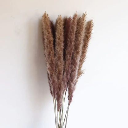 Pampas bunch with wrapping and tag - Living Abroad Creations