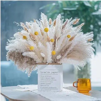 Pampas grass bunch with natural light backdrop - Living Abroad Creations